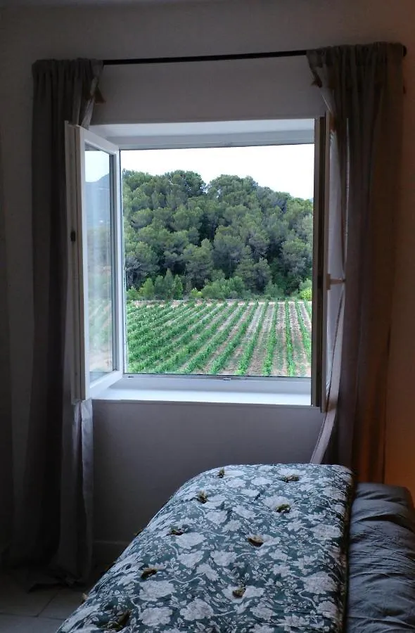Design Gite En Drome Provencale Vinsobres France